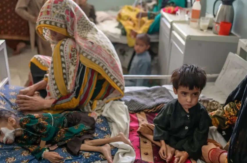  یونیسف: ولایات جنوبی افغانستان بیشترین کودکان مبتلا به سوتغذیه شدید را دارند