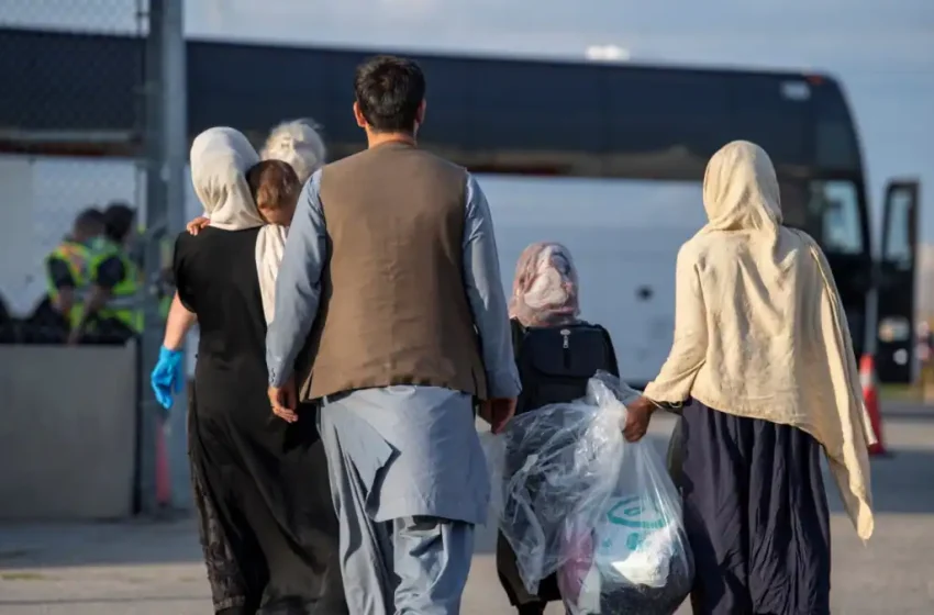  تاکید نمانیدگی اتحادیه اروپا بر حمایت از افغان ها
