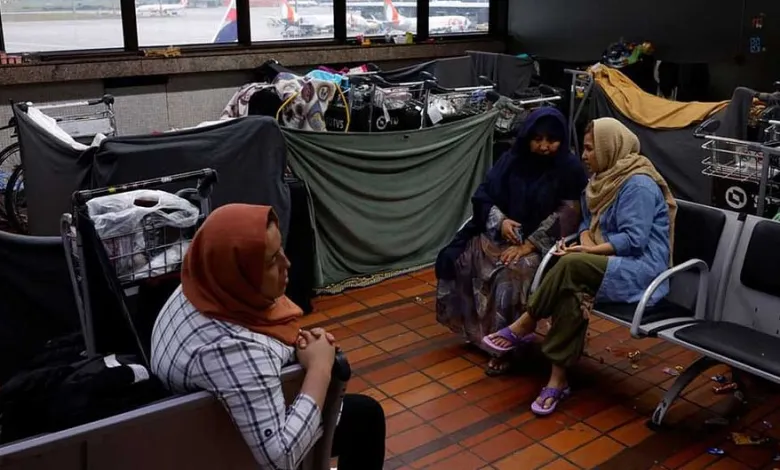  سرگردانی و بی سرنوشتی پناهجویان افغانستان در برازیل