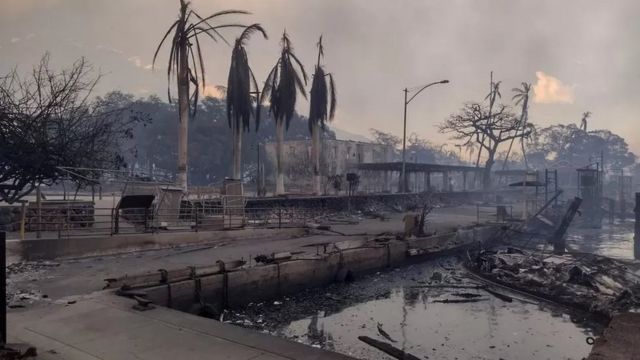  آخرین آمار قربانیان آتش سوزی؛ ۳۸۸ نفر در آتش سوزی هاوایی امریکا کشته یا مفقود شدند